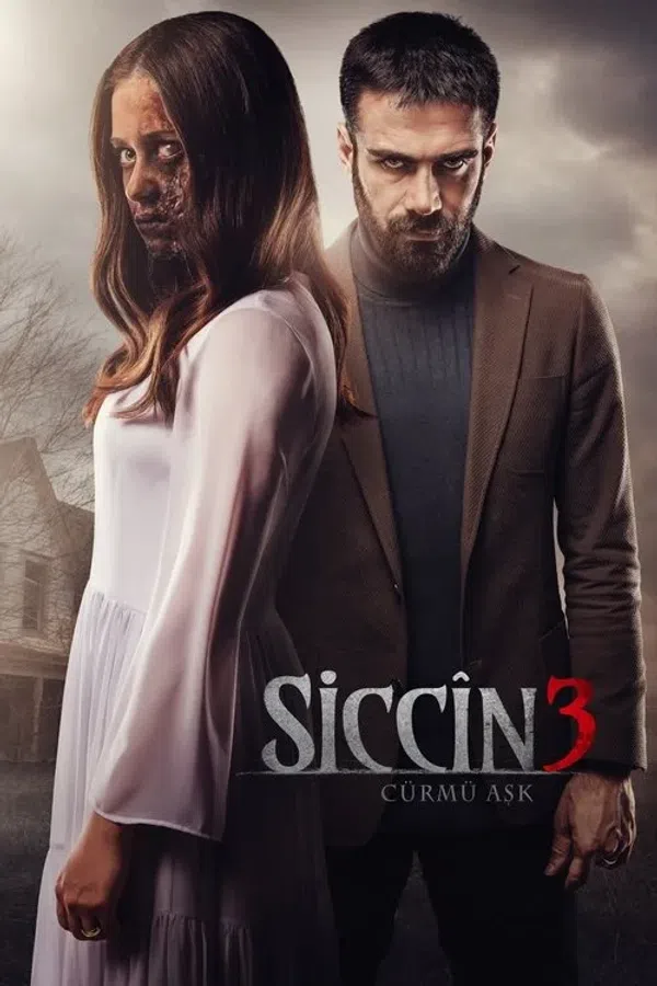 Poster phim Lời Nguyền Sijjin 3 trên Phim Mới
